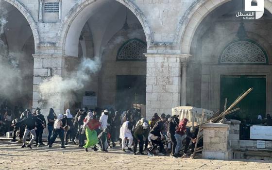 الأزهر: انتهاكات الاحتلال وصمة عار على جبين المجتمع الدولي  