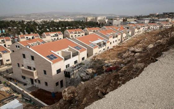 نشرة "أخبار مقاطعة"