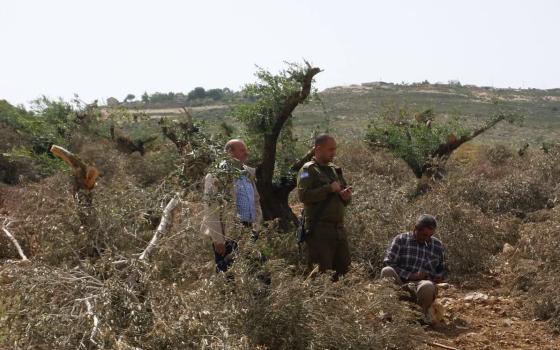 جنوب أفريقيا.. حركة المقاطعة تدين اعتداءات المستوطنين الإسرائيليين