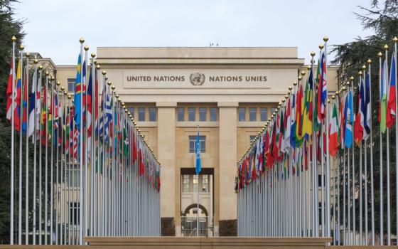 دعوة أممية لمساندة منظمات المجتمع المدني في فلسطين