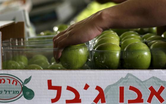 حملة أصدقاء الأقصى تدعو بريطانيا إلى حظر منتجات المستوطنات الإسرائيلية