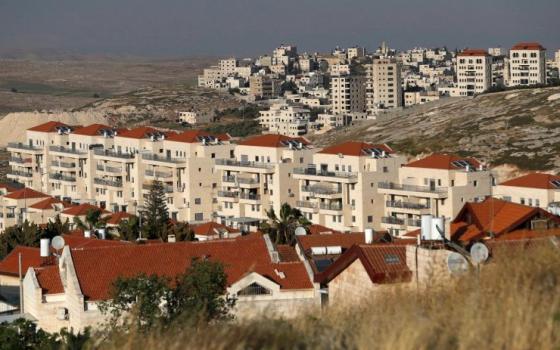 نشرة “أخبار مقاطعة”