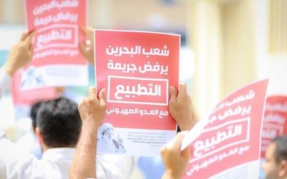 نشرة "أخبار مقاطعة"  