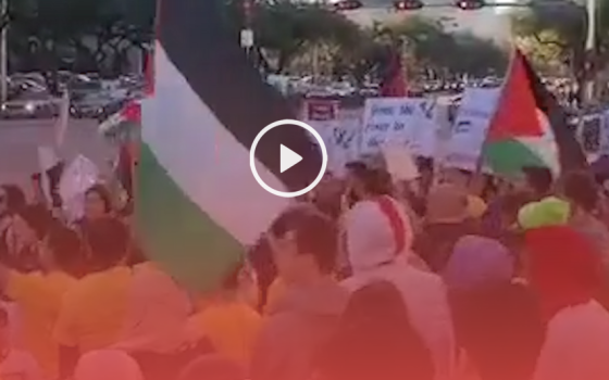 وقفة احتجاجية في ولاية تكساس الأميركية رفضاً لصفقة القرن