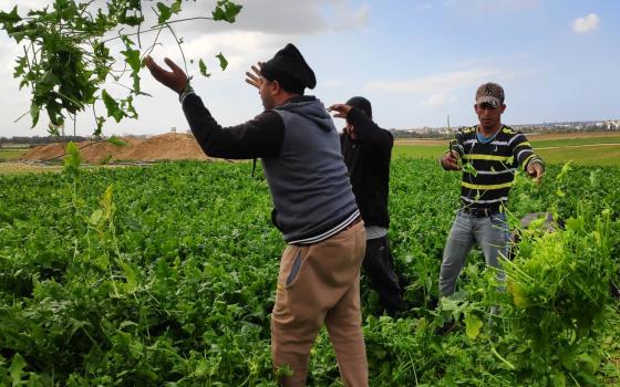 جمعية أوروبا فلسطين تدين استهداف الاحتلال الإسرائيلي للأراضي الرزاعية بغزة