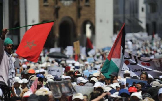 نشرة "أخبار مقاطعة"  