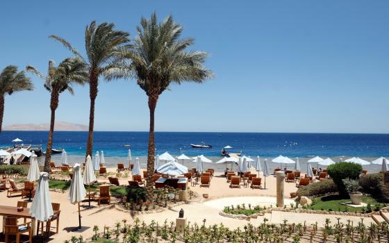 صورة تعبيرية