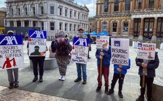 صورة تعبيرية