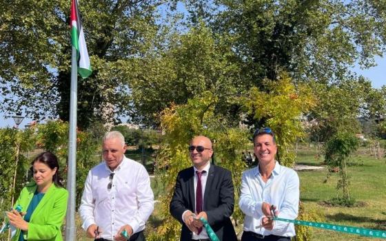 صورة تعبيرية