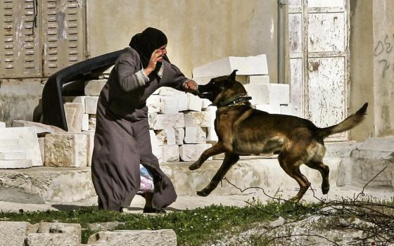 صورة تعبيرية