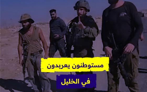 مستوطنون يعربدون في الخليل