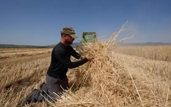 f460552155407c4f69dc32b15d35c86c