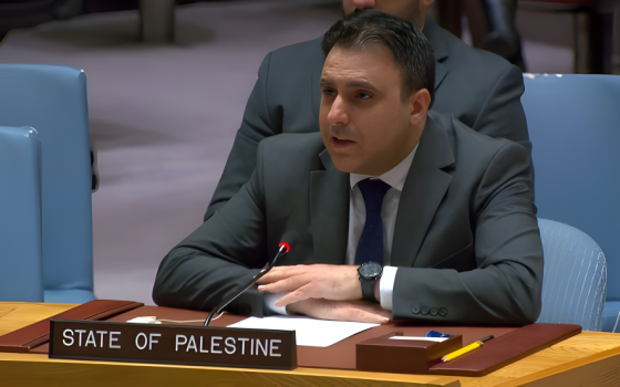 ماجد بامية، نائب سفير فلسطين للأمم المتحدة