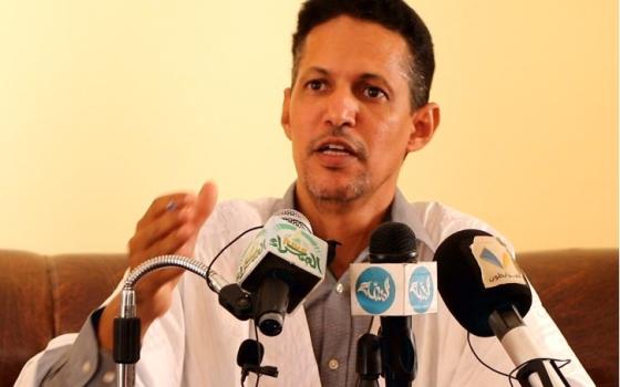 محمد الأمين ولد سيدي مولود، نائب موريتاني