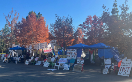 صورة لاعتصام طلاب جامعة ستانفورد