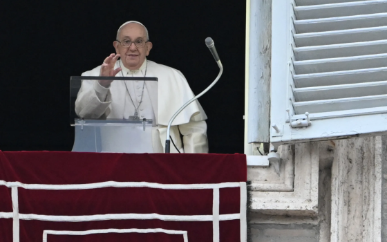 صورة بابا الفاتيكان، فرانسيس