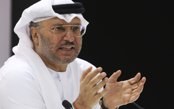 صورة الوزير الإماراتي أنور قرقاش