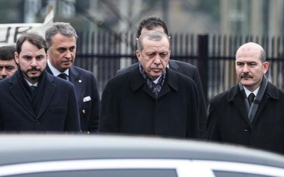 صورة الرئيس التركي وصهره