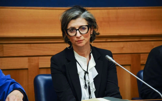 صورة المقررة الأممية, فرانشيسكا ألبانيز  