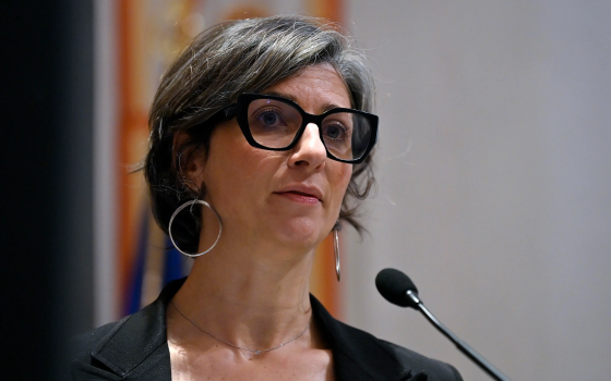 صورة المقررة الأممية, فرانشيسكا ألبانيز