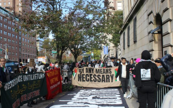 جامعة إلينوي تحذف رسالة تتهم الاحتلال بالإبادة