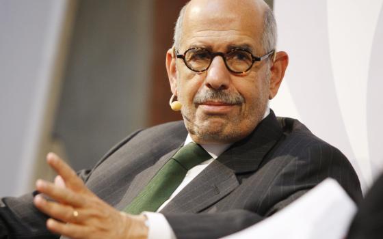 محمد البرادعي، سياسي مصري