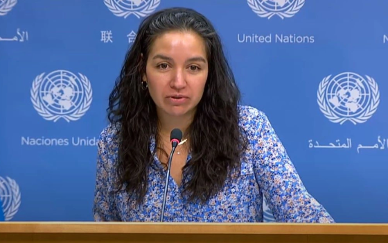 صورة المتحدثة الأممية تطالب بحماية الصحفيين
