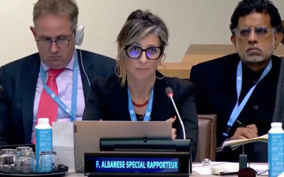 صورة المقررة الأممية, فرانشيسكا ألبانيز  