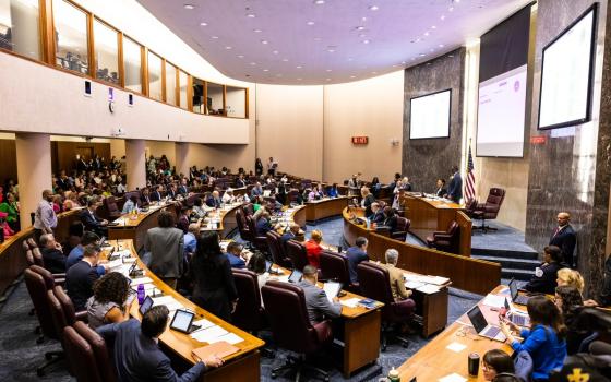 مجلس شيكاغو