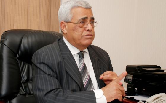 حسن نافعة - أستاذ جامعي مصري