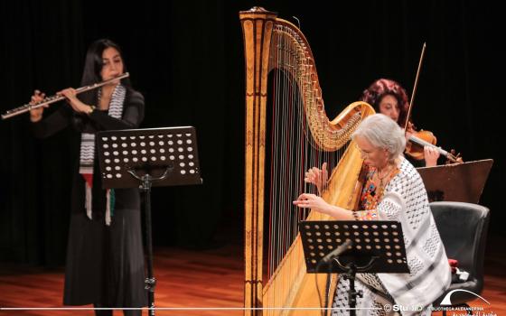 عازفة الهارب المصرية، منال محيي الدين