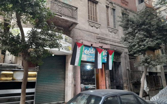 صورة من حي الضاهر في القاهرة