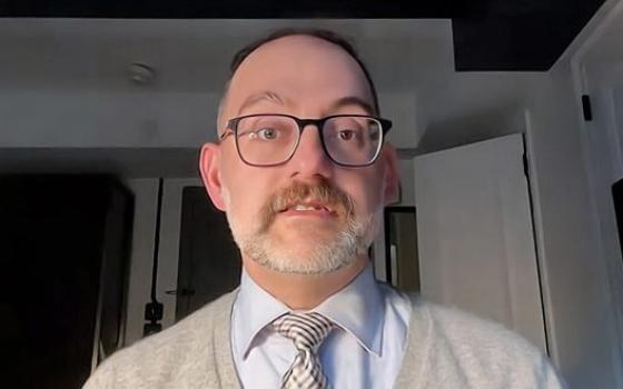 مايكل فخري - مقرر أممي