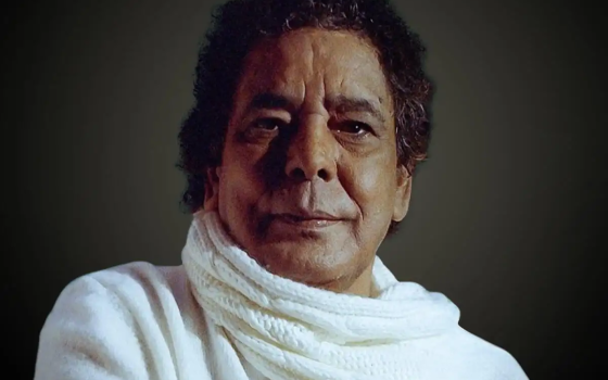 محمد منير، فنان مصري