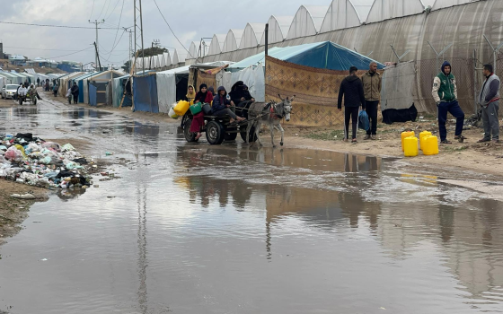 نازحون من غزة