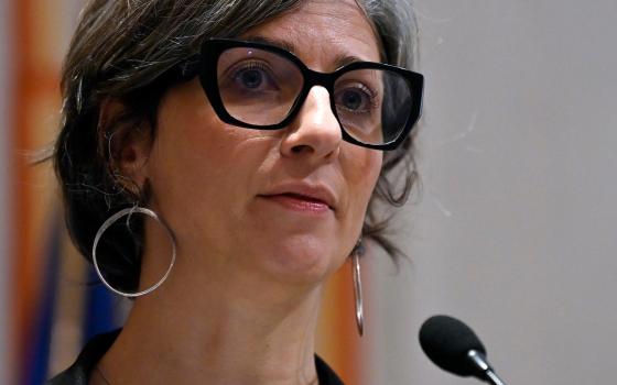 صورة المقررة الأممية, فرانشيسكا ألبانيز  