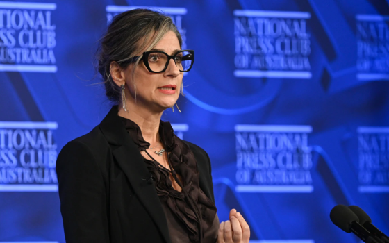 فرانشيسكا ألبانيز - مقررة أممية