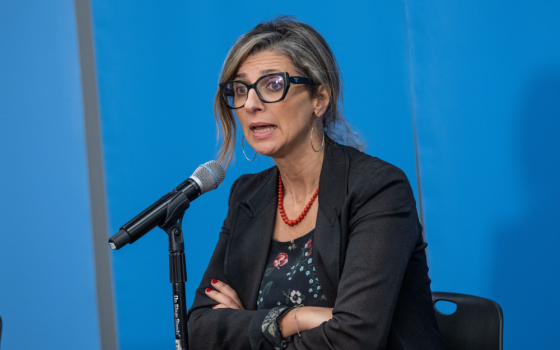 صورة المقررة الأممية, فرانشيسكا ألبانيز