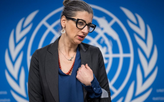 فرانشيسكا ألبانيز - مقررة أممية