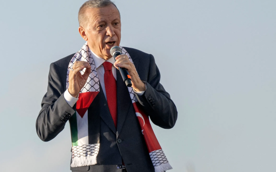 صورة الرئيس التركي