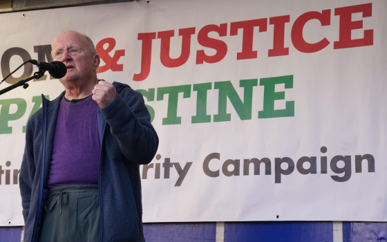 شارك فيها الآلاف.. مغني شعبي شهير يتصدر تظاهرة مؤيدة لفلسطين في دبلن