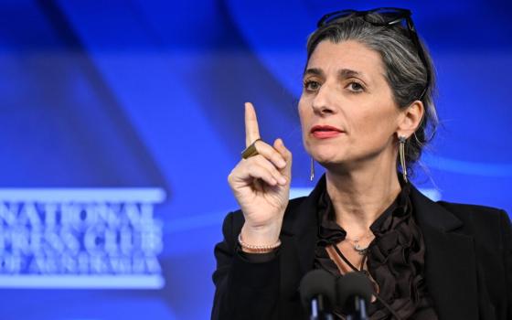 فرانشيسكا ألبانيز - مقررة أممية