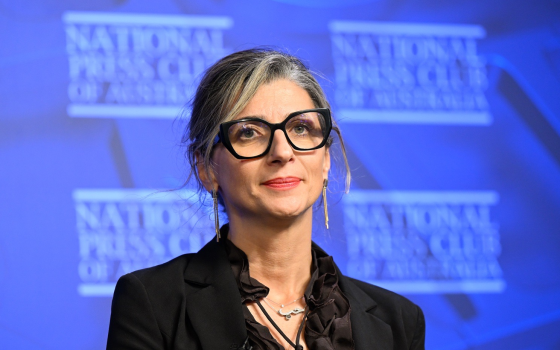 فرانشيسكا ألبانيز - مقررة أممية