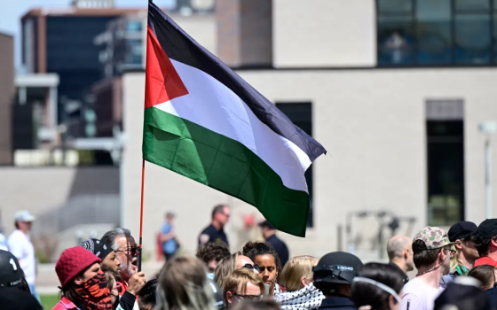 رفع علم فلسطين في مظاهرة  