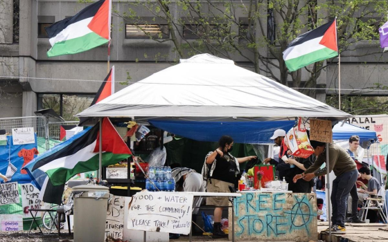 مخيم طلابي تضامني