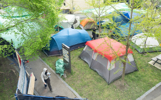 مخيم طلابي تضامني  