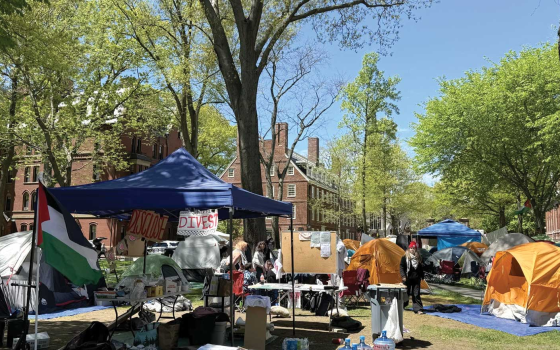 ضريبة دعم فلسطين..  هارفارد ترفض وساطة كلية الآداب لتخريج 13 طالبًا