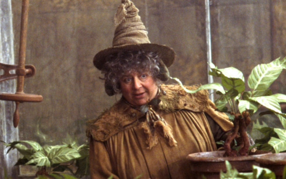 ميريام مارجوليس - أحد ممثلي سلسلة هاري بوتر