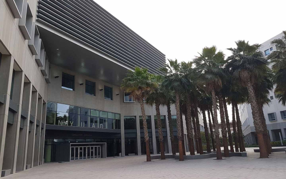 جامعة نيويورك في أبوظبي