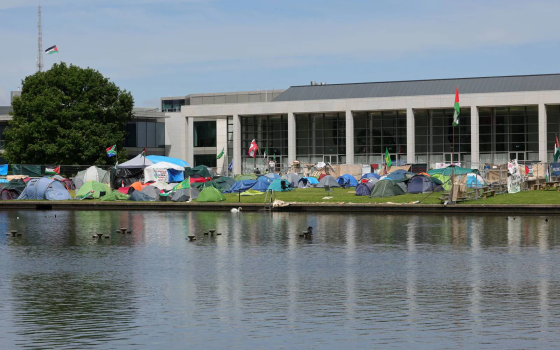 مخيم طلابي تضامني في كلية دبلن